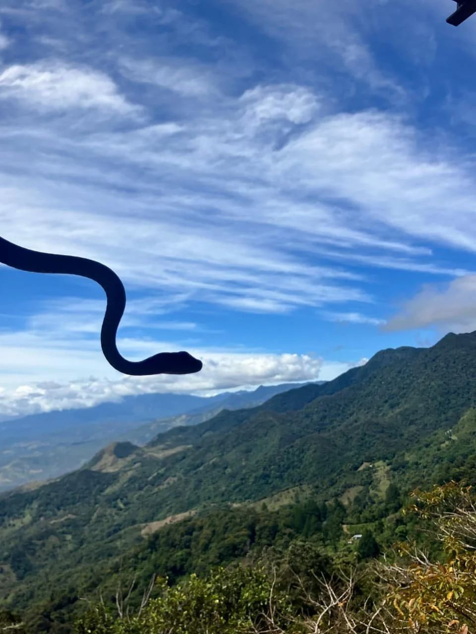 Las Tablas: The Cultural Heartbeat of Panama’s Azuero Peninsula