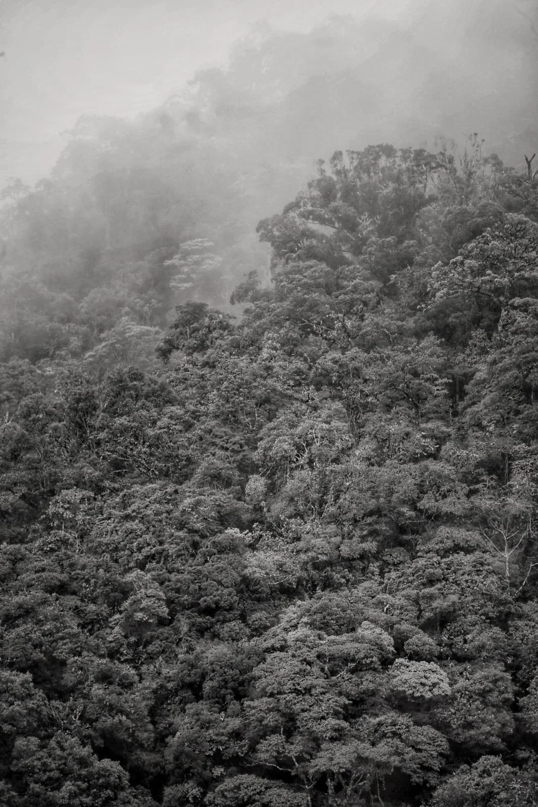 Punta Burica, The Forgotten Edge of Panama Where Two Oceans of Nature Collide