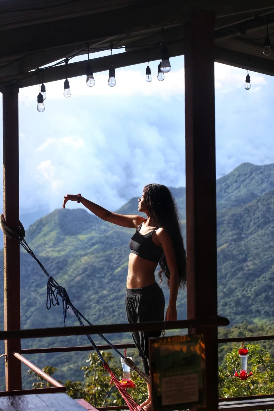 Beautiful but Dangerous, Poisonous Plants Hikers Should Watch Out for in Panama
