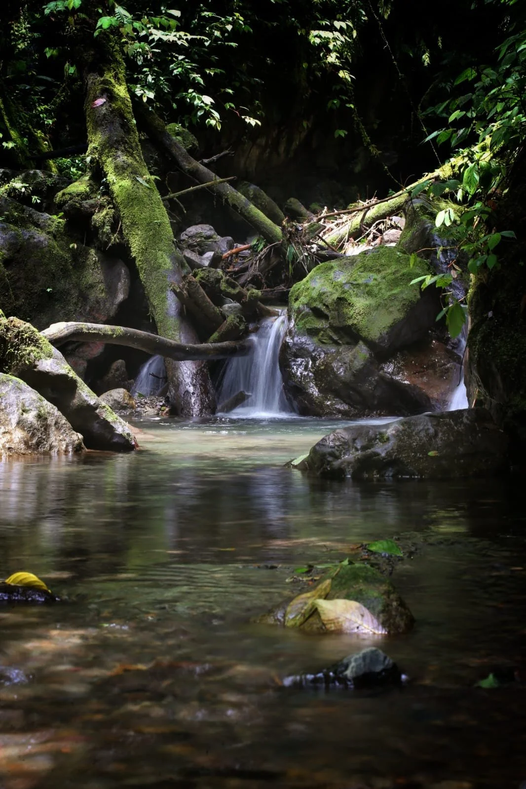 The Secret Road from Santa Fe to Panama’s Caribbean Coast