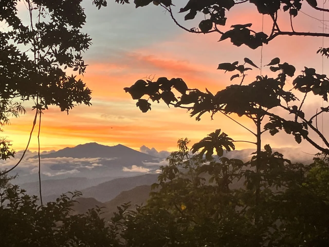Cerro Punta: Panama’s Cold, Misty Kingdom Above the Clouds