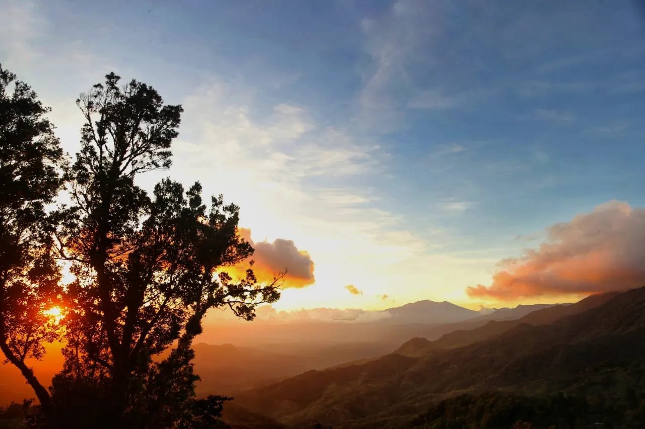One Language, Many Worlds: The Fascinating Evolution of Spanish from Mexico to Panama