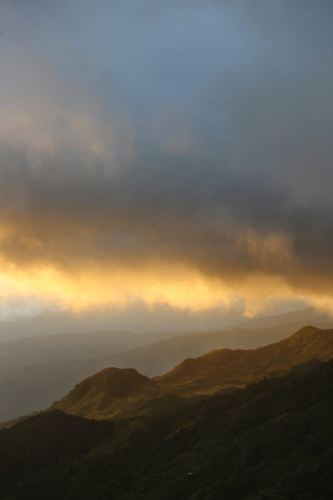 Geckos of Panama: The Tiny Dragons That Rule the Tropical Night