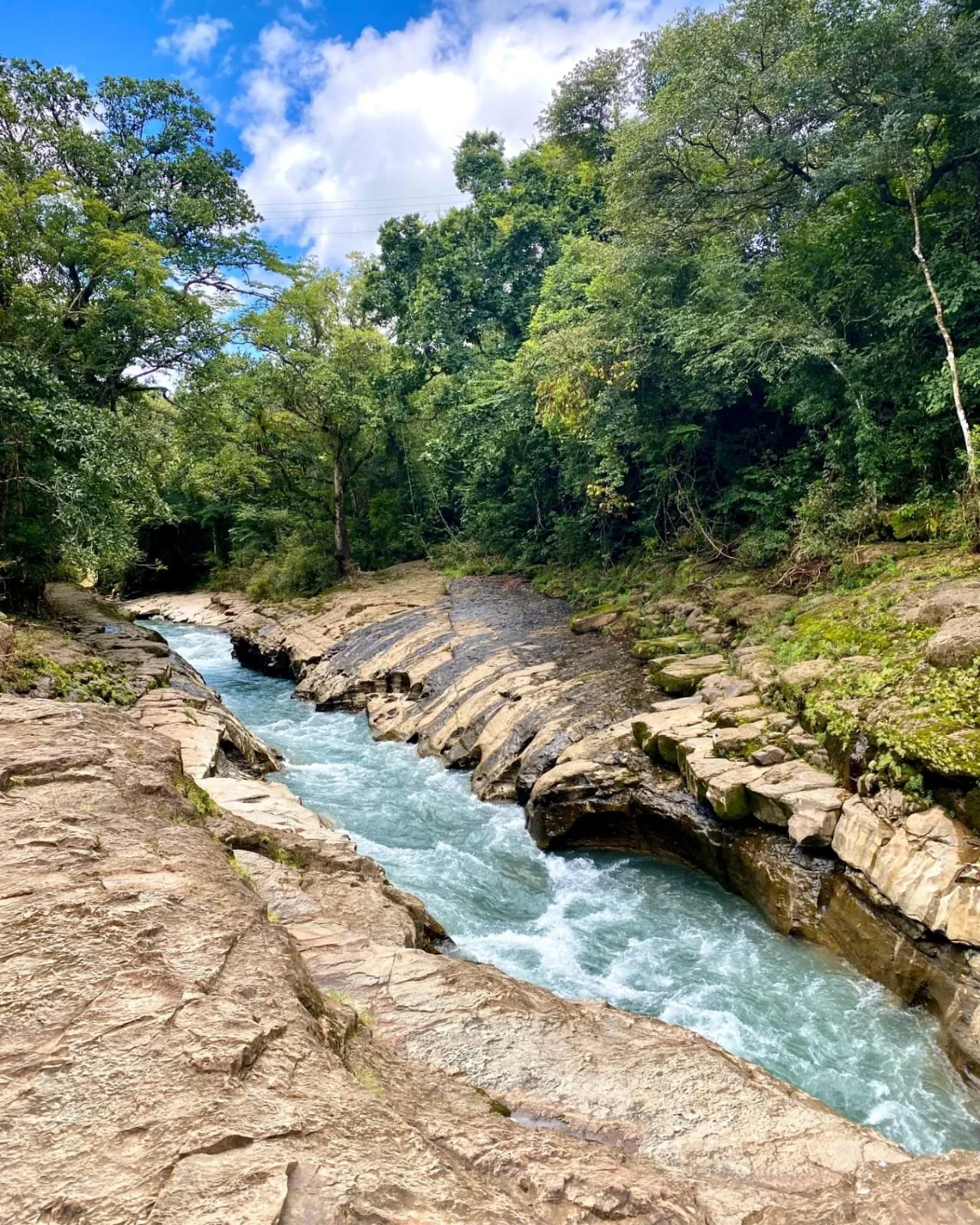 Destination Hostels in Panama: Why They're Worth Every Dollar