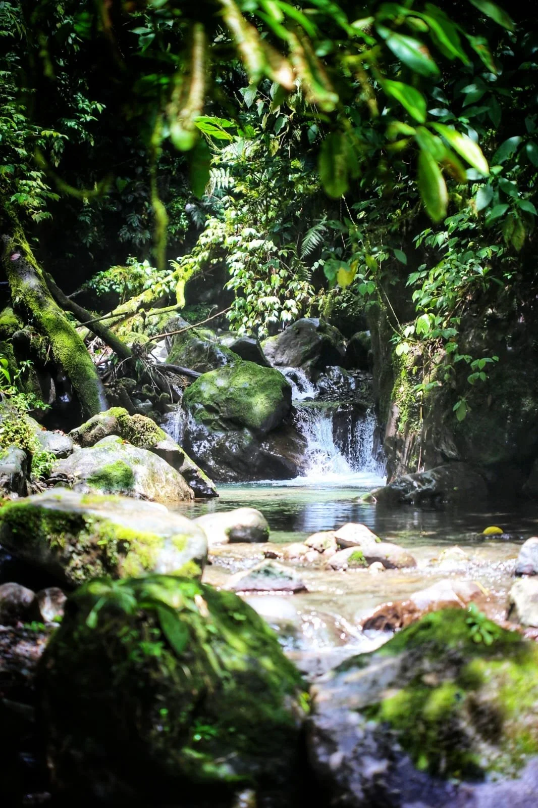 Backpacking Costa Rica vs Panama: The Ultimate Central America Comparison for Travelers, Adventurers, and Budget Explorers