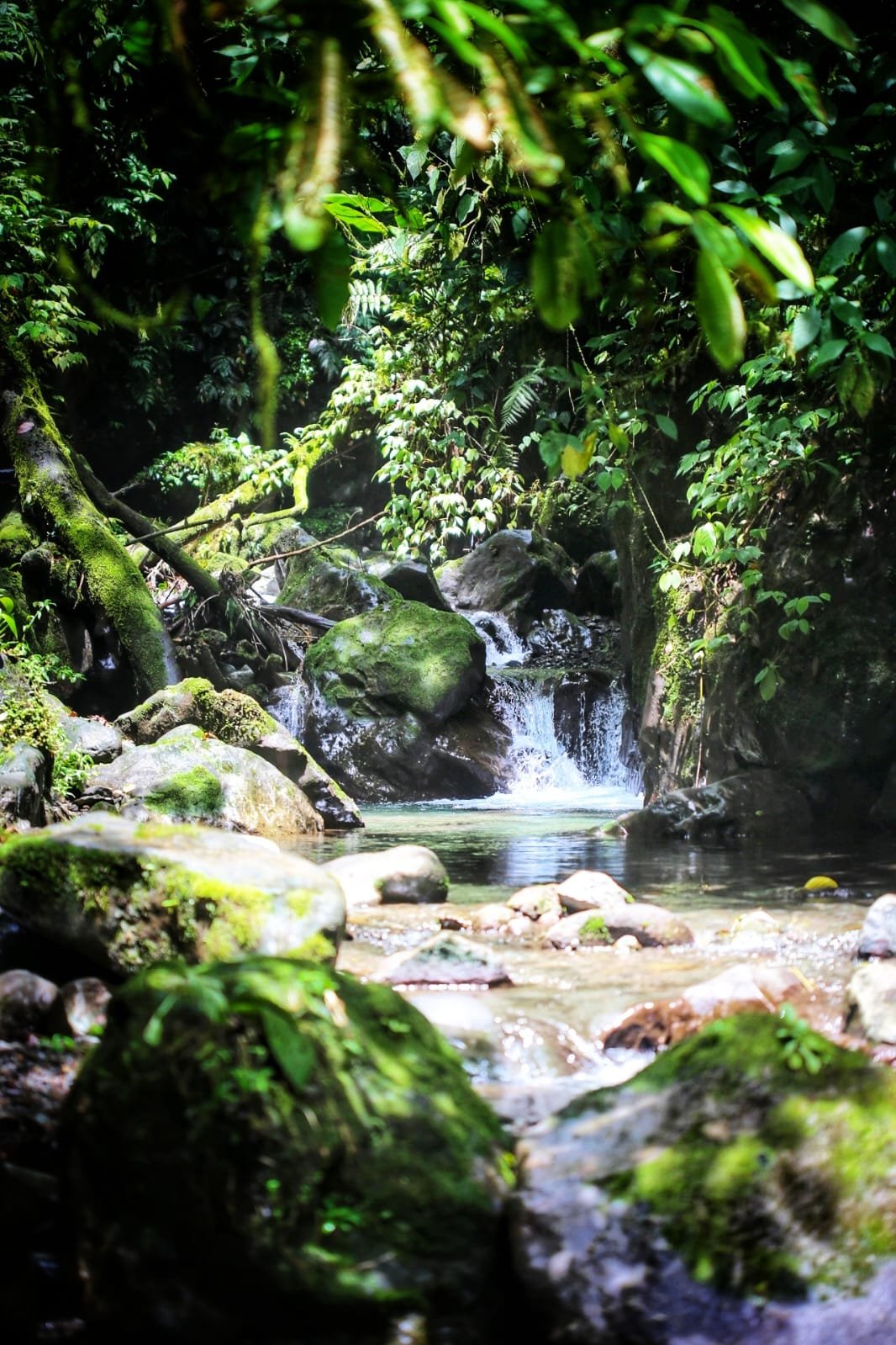 How to Get to Red Frog Beach from Isla Colón: A Complete Step by Step Guide