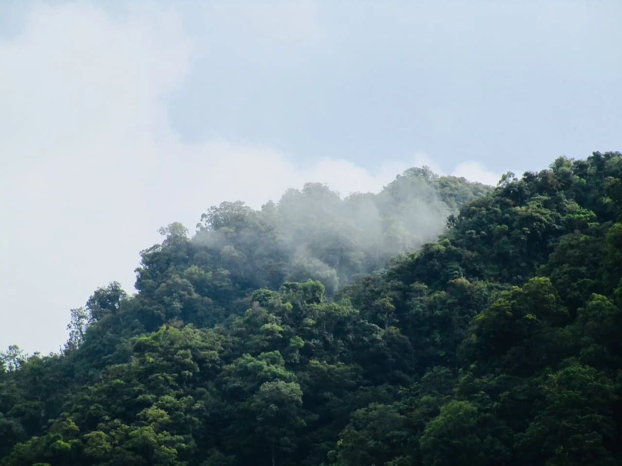 Panama and Gold: The Isthmus at the Center of the Greatest Treasure Route in the Americas