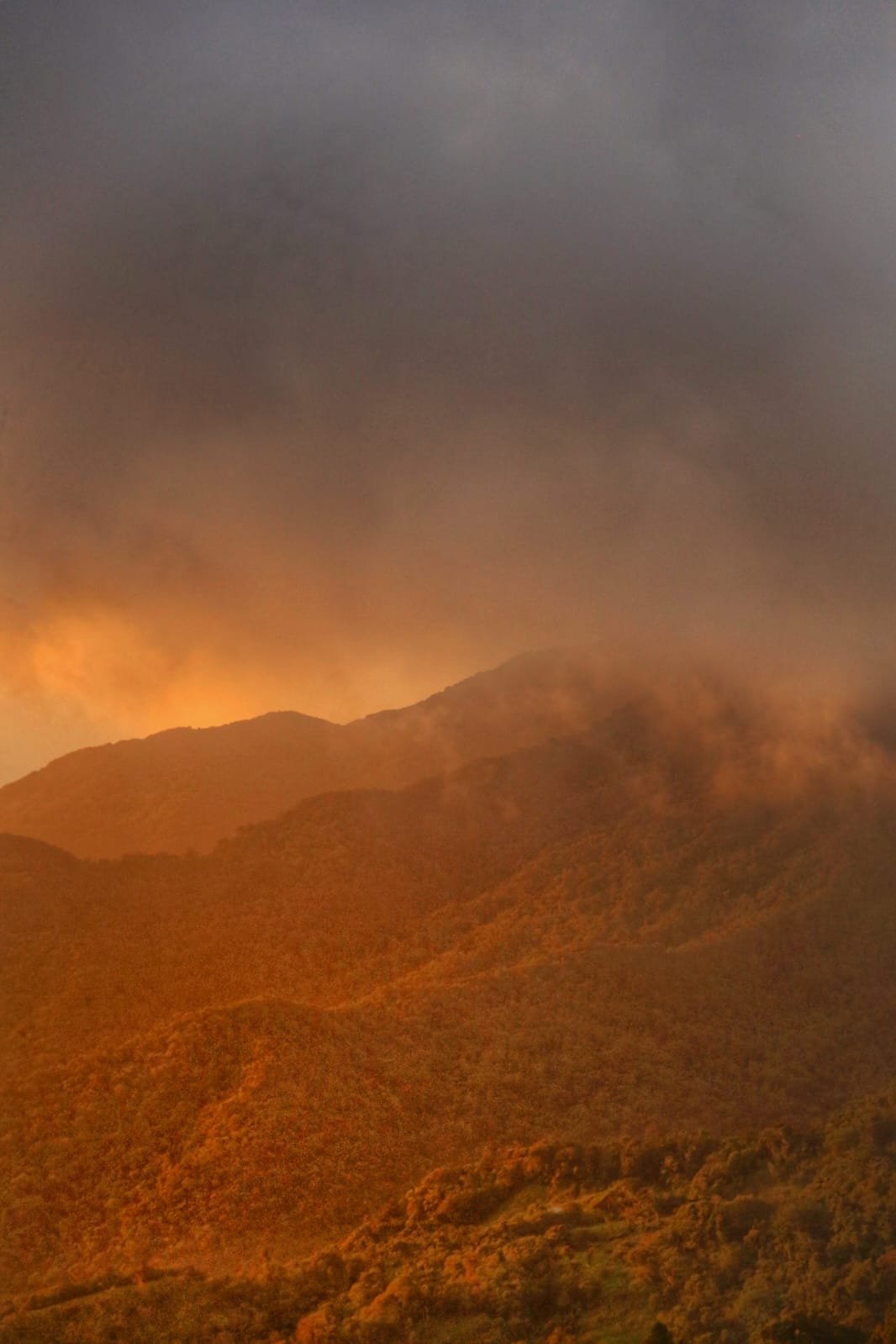 🔥 Does Panama Get Wildfires? The Surprising Story of Fire in the Tropical Paradise