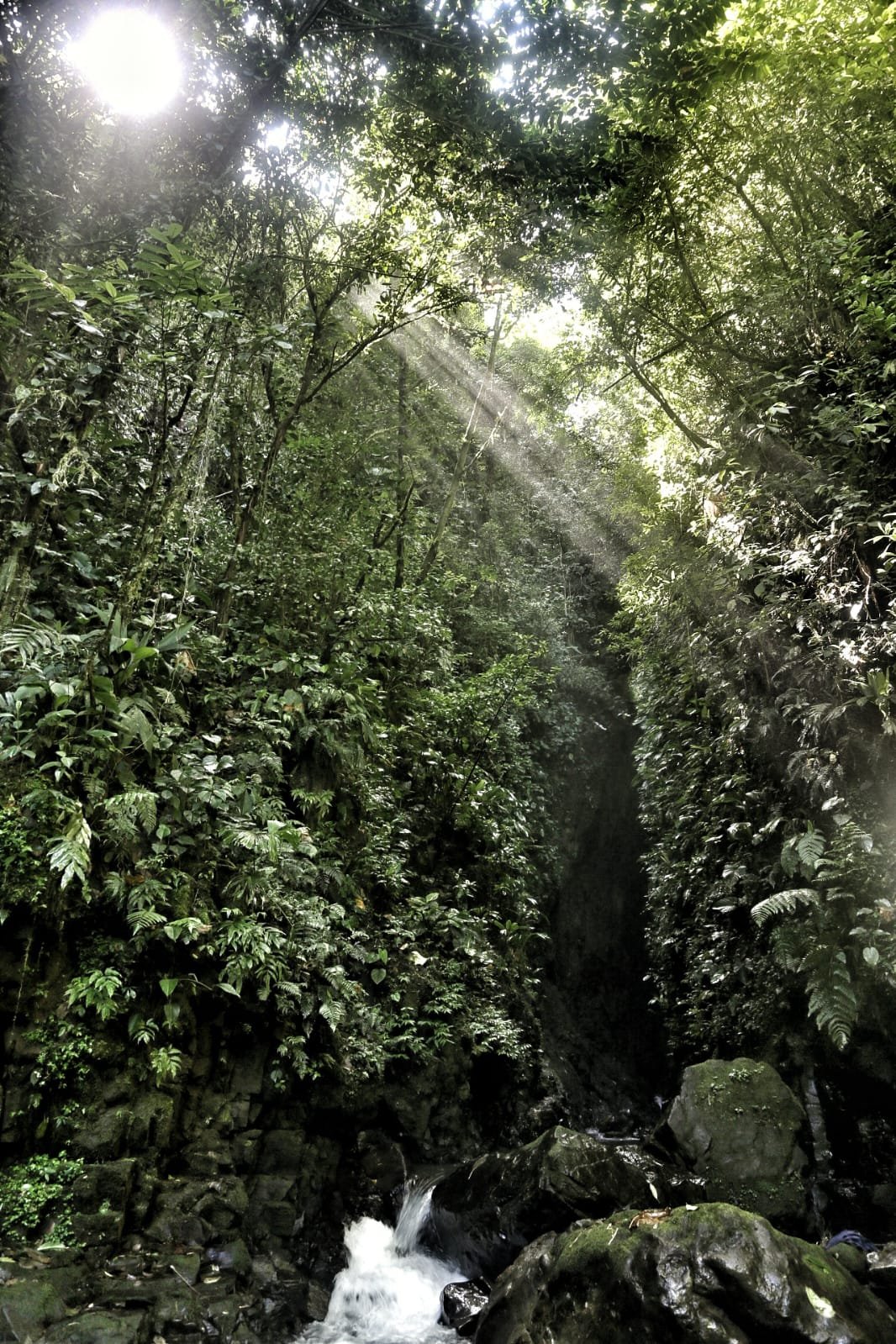 Backpacking Panama: The Famous Route That Packs an Entire Country Into One Adventure