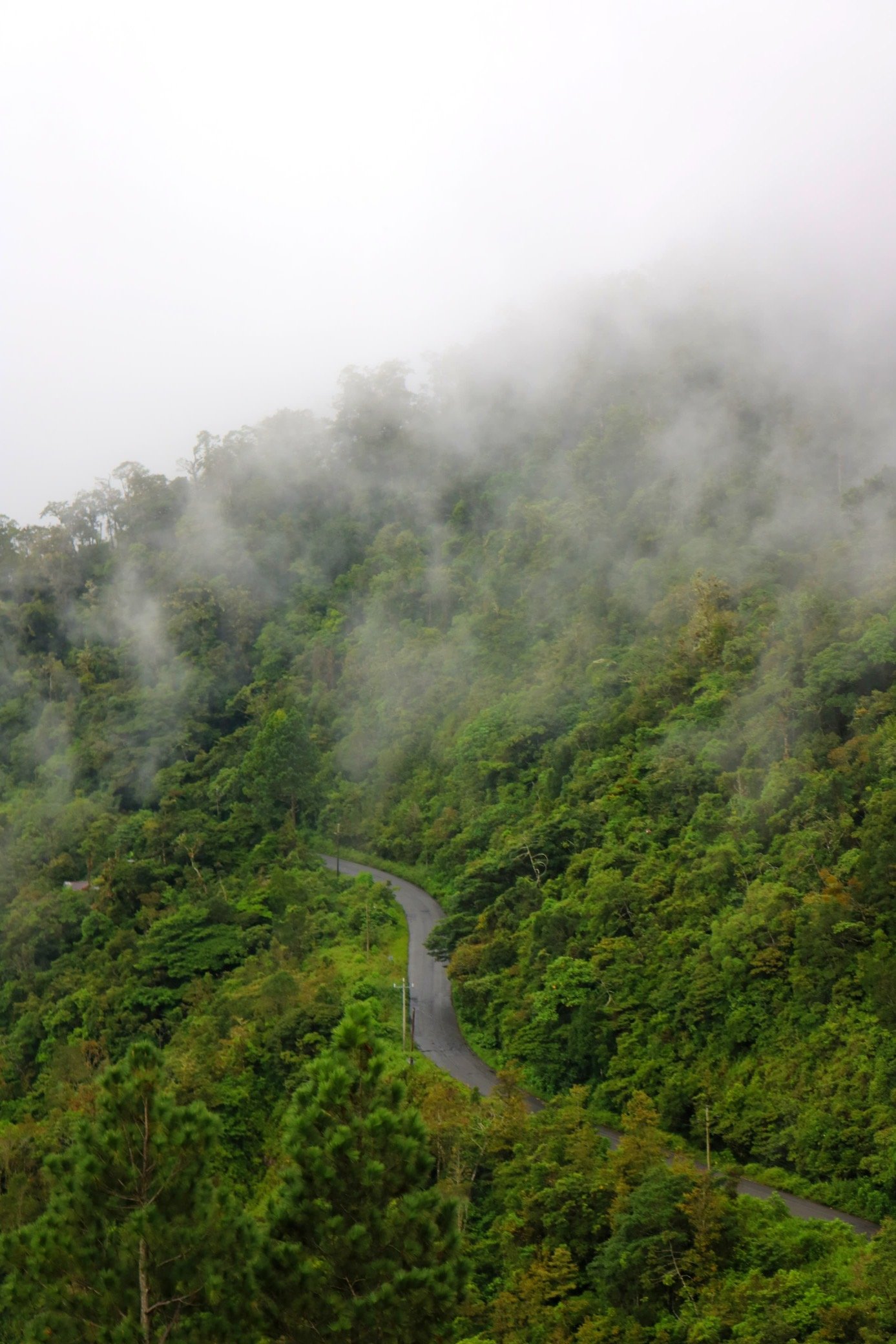The Emberá of Panama: The People Behind the Rainforest