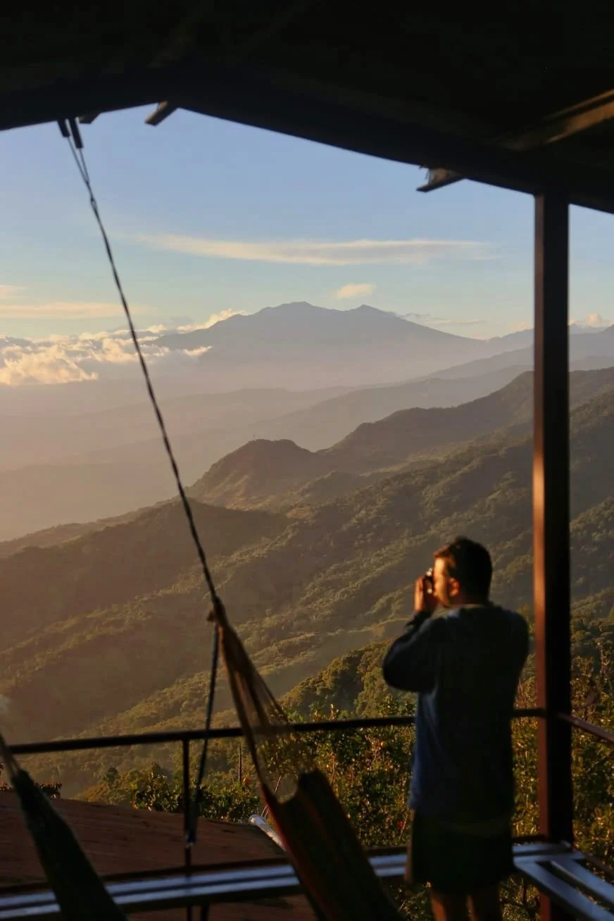 Lost and Found Hostel : l’endroit où la jungle devient votre terrain de jeu