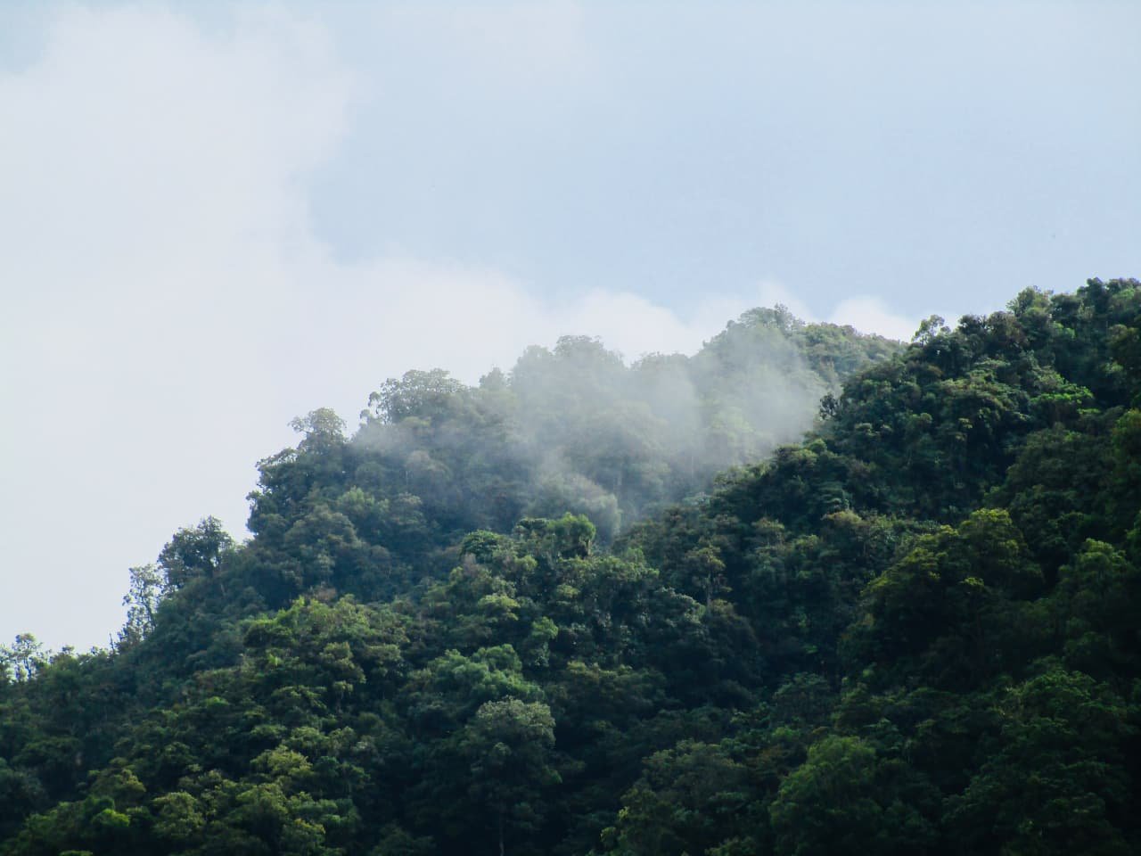 Do You Need Malaria Pills for Bocas del Toro, Panama?