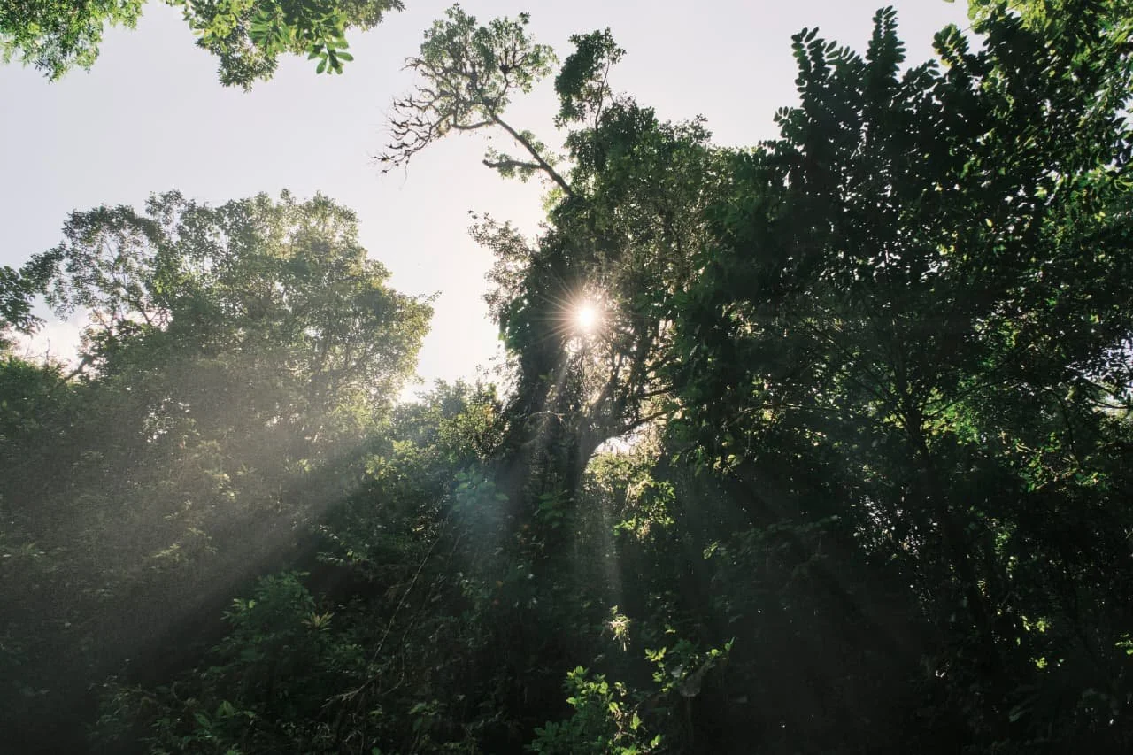 Crime From Mexico to Panama: The Realistic Backpacker's Guide