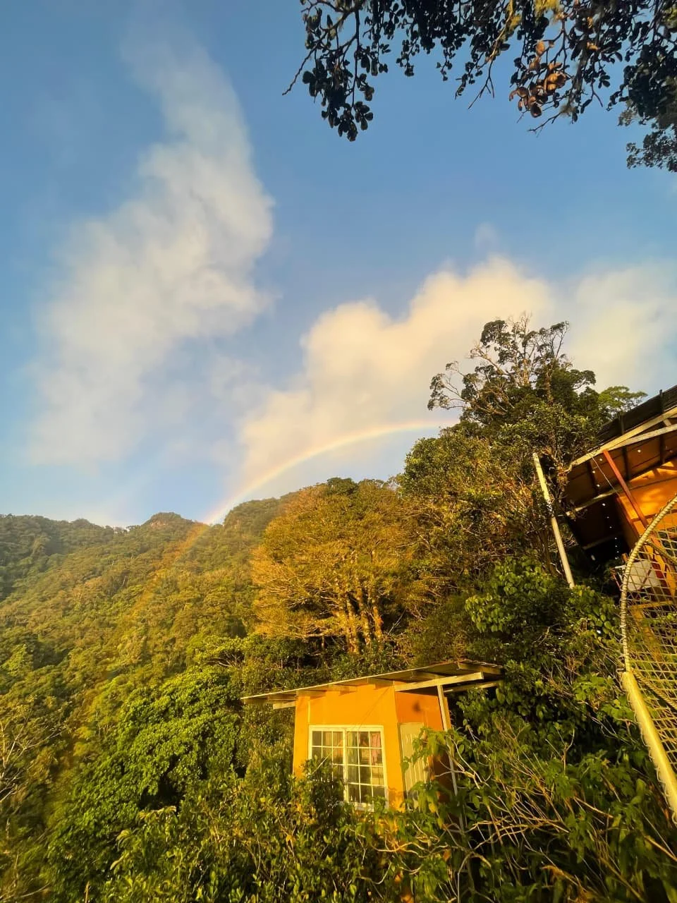 Tea Tasting in Panama: Where to Discover a Surprisingly Different Side of the Country