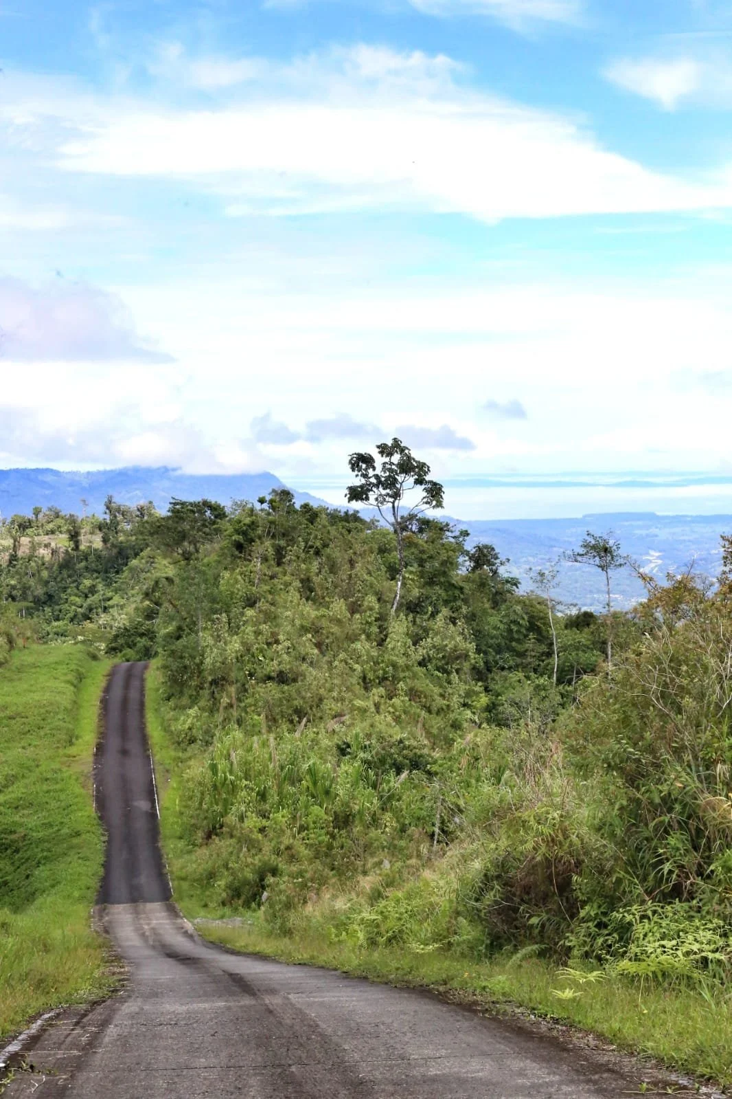 The Panama Rainforest Discovery Center: Where the Jungle Comes Alive in Gamboa