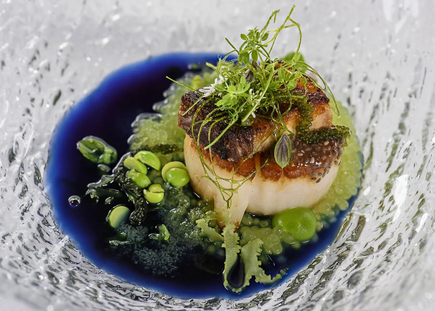 Scallop - tapioca, basil lace, pork belly, sea grapes, butterfly pea-ham broth