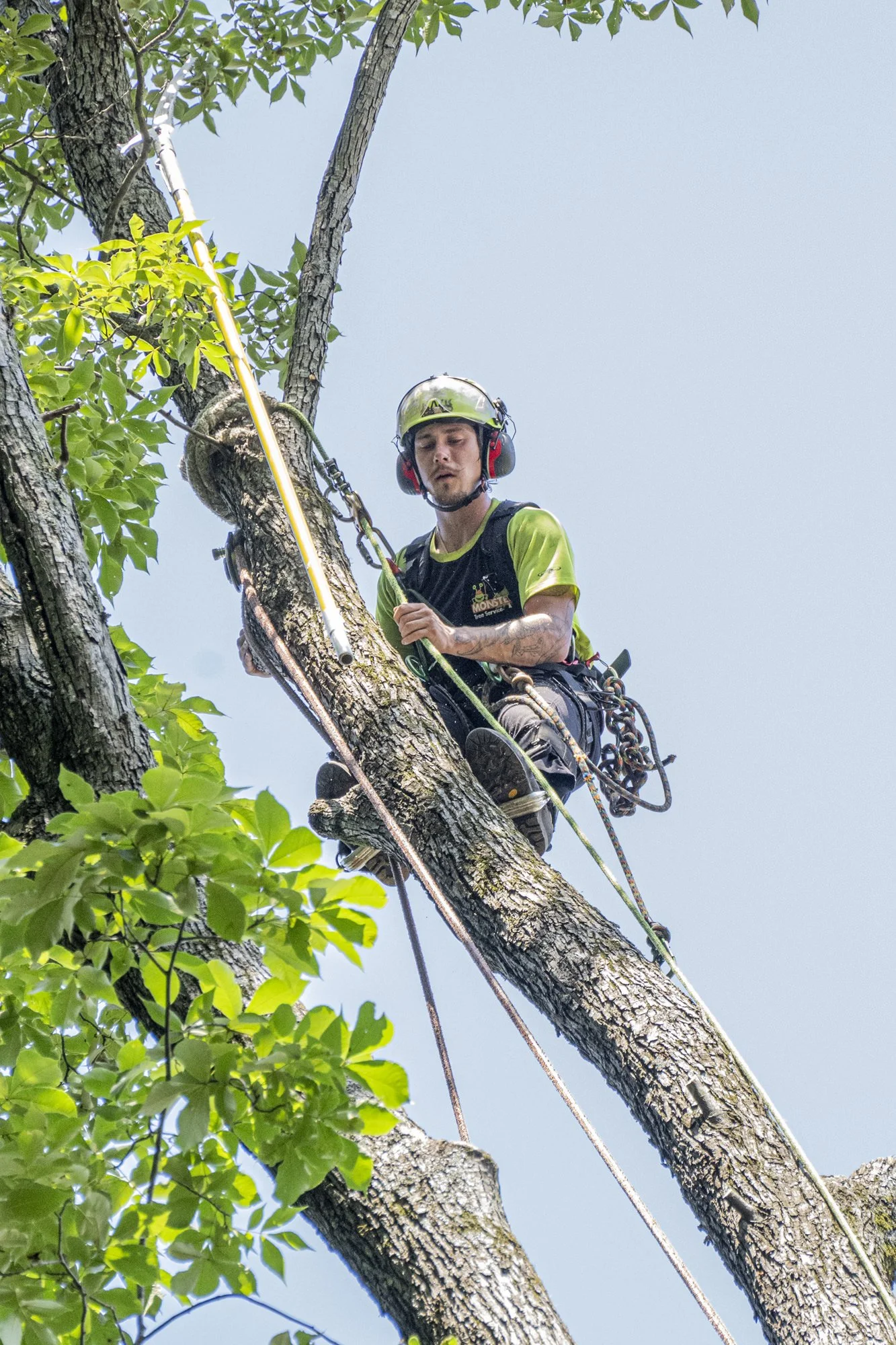 Building construction in progress.jpg