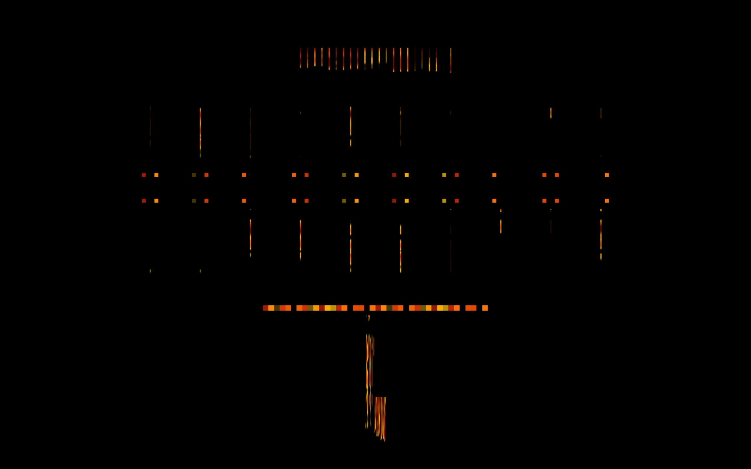 SFS software 03 raster.png