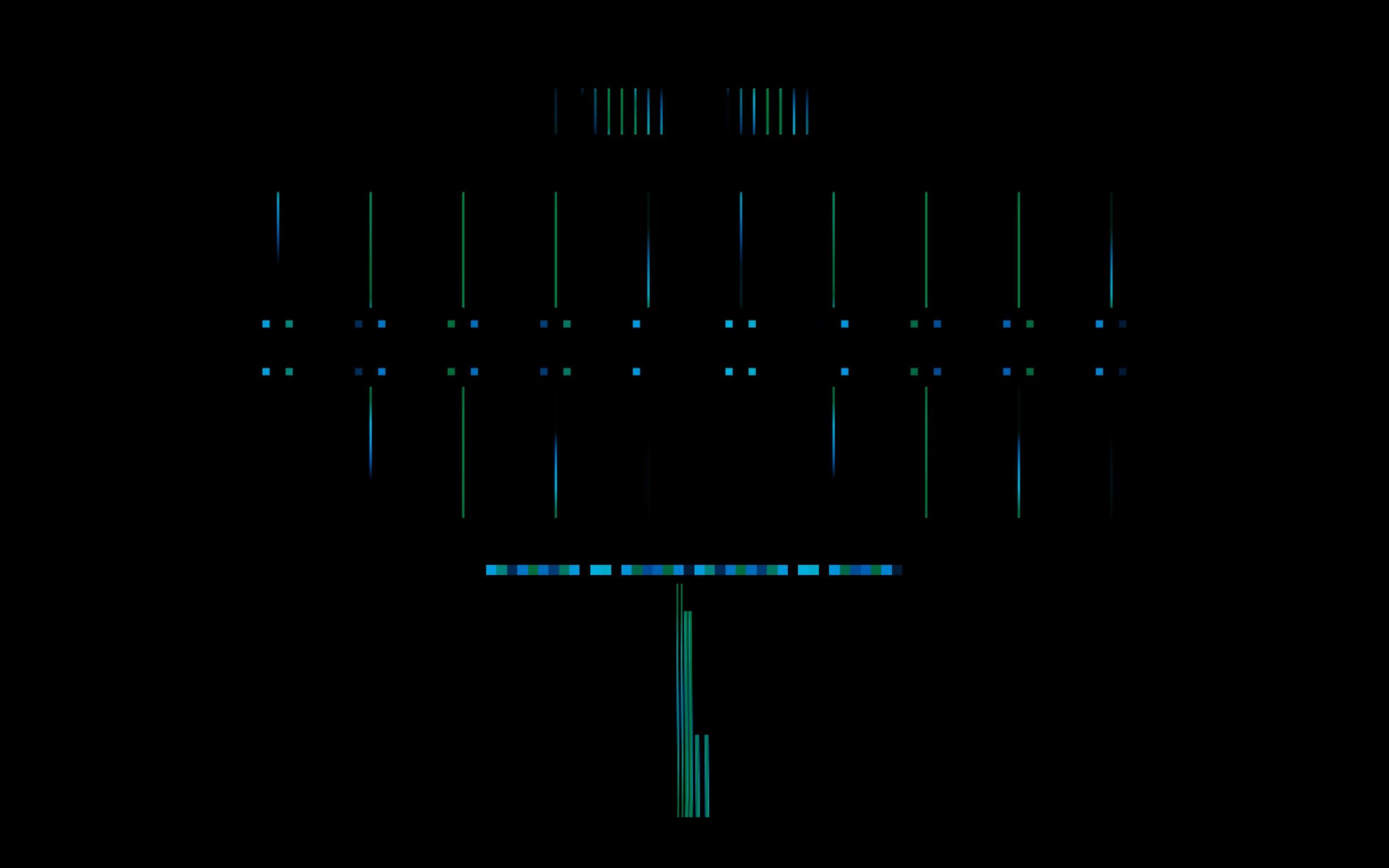 SFS software 06 raster.png