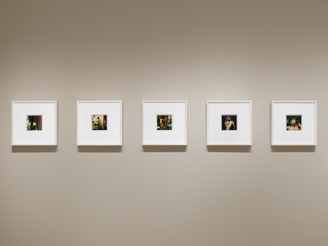 To see the installation views of Samaras' one-of-a-kind Polarioids in PSG frames, click here .