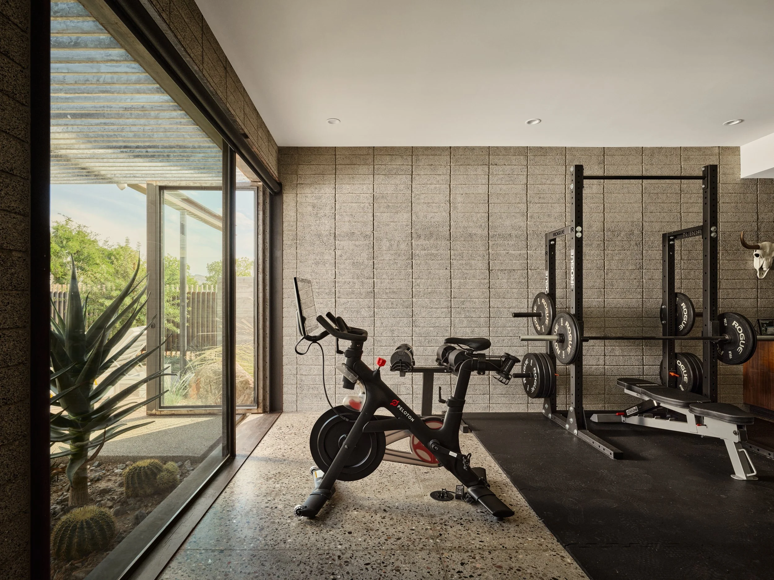 Web 036 Identity E Cochise workout 14350.jpeg