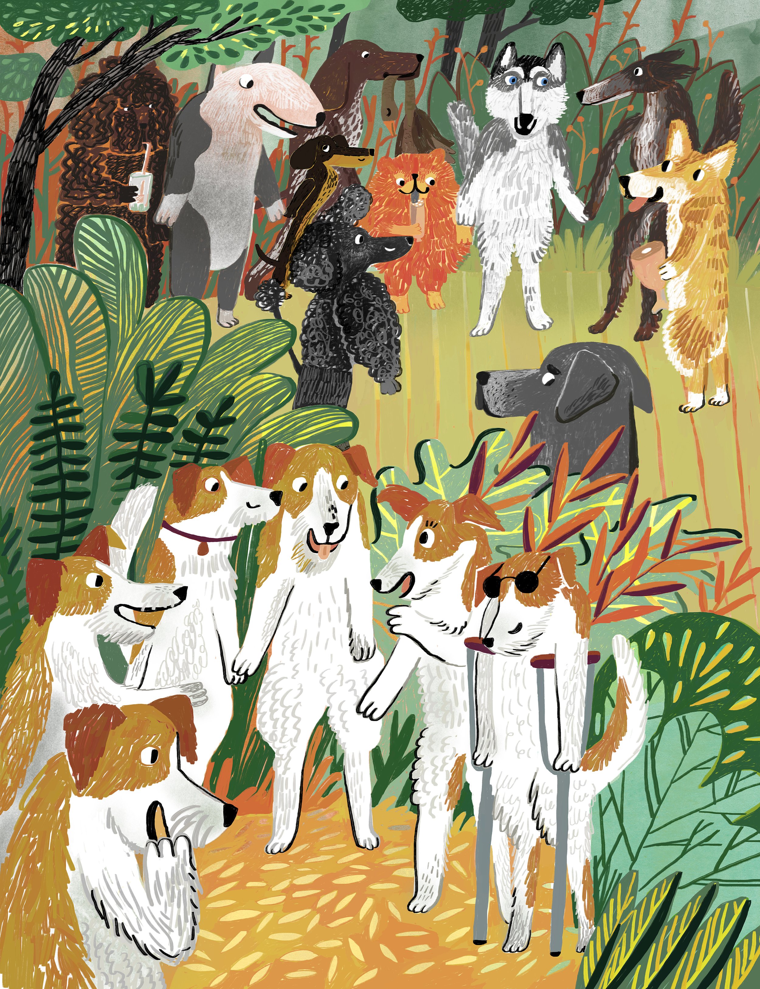 AV_Dogs illustration 2.jpg