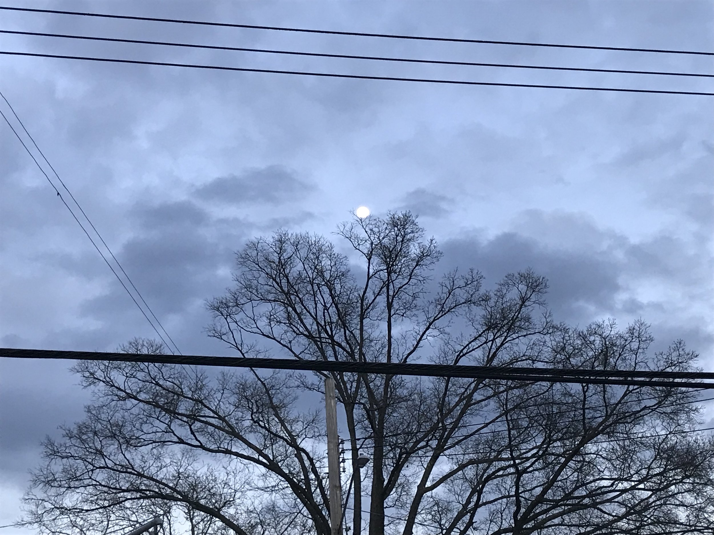 IMG_0491.jpeg