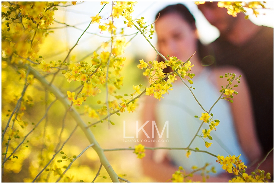 Tucson-arizona-engagement-session-palo-verde-yellow-flowers-_0012.jpg