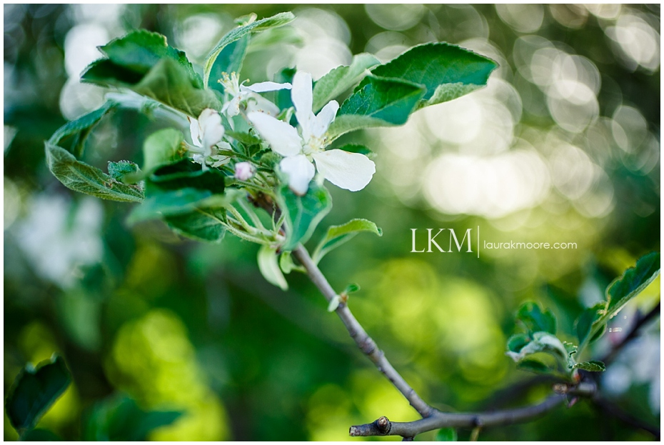 Milwaukee-Fun-Engagement-Session-Wisconsin-Wedding-Photographer_0020.jpg