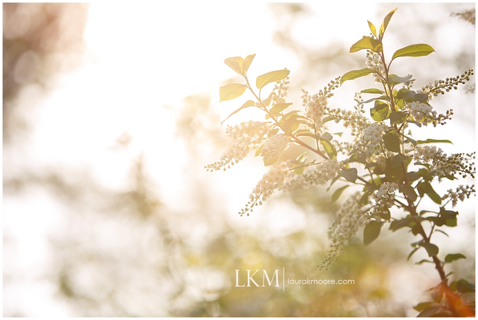 Milwaukee-Wedding-Photographer-Laura-K-Moore-KUHLOW_0145.jpg