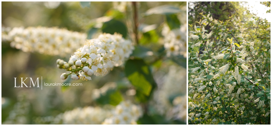 Milwaukee-Wedding-Photographer-Laura-K-Moore-KUHLOW_0150.jpg