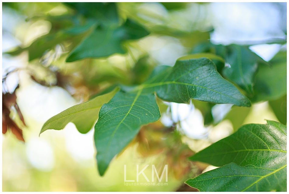 Nathan-Emily-Mt-Baldy-Engagement-Session-Los-Angeles-Wedding-Photographer_0024.jpg