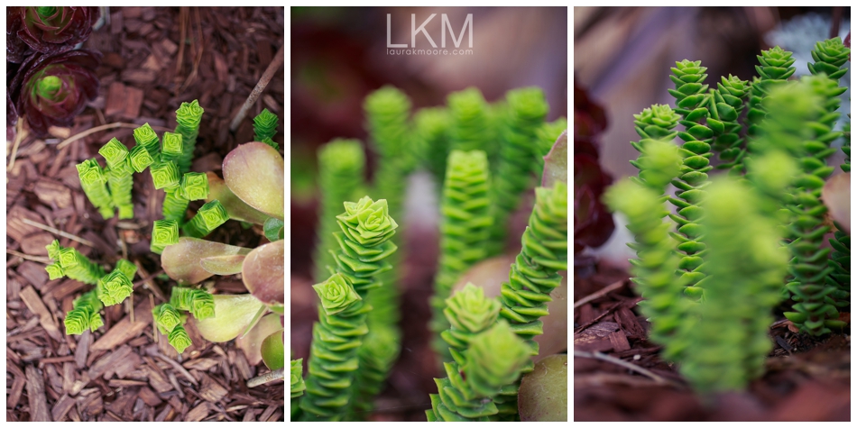 san-jose-backyard-wedding-plum-orchids-DIY-inspiration_0129.jpg
