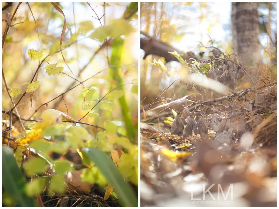 mt-lemon-engagement-session-tucson-wedding-photographer-austin-corrie_0016.jpg