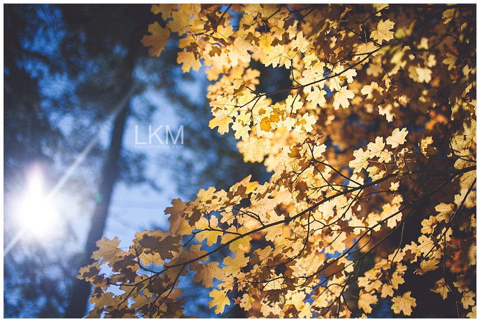 mt-lemon-engagement-session-tucson-wedding-photographer-austin-corrie_0063.jpg