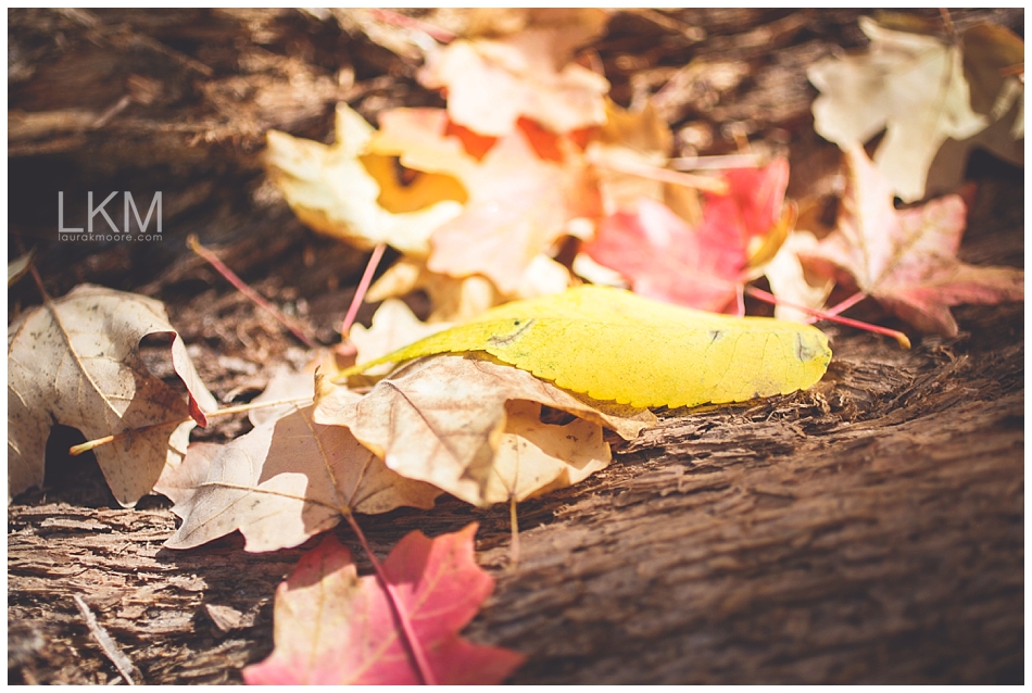 mt-lemon-engagement-session-tucson-wedding-photographer-austin-corrie_0068.jpg