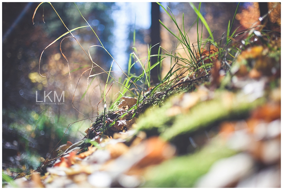 mt-lemon-engagement-session-tucson-wedding-photographer-austin-corrie_0067.jpg