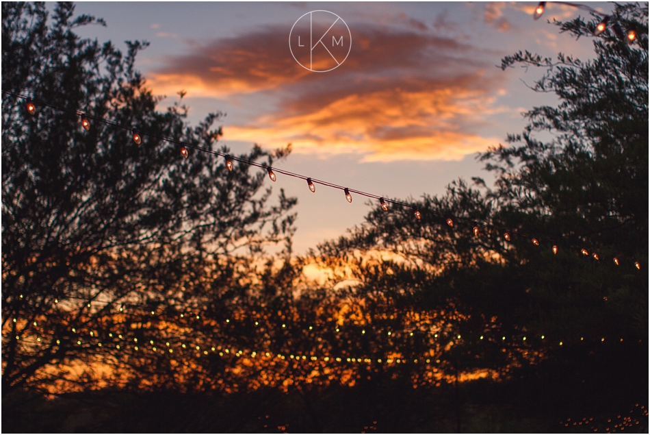 saguaro-buttes-tucson-spring-garden-wedding-auerbauch_0086.jpg