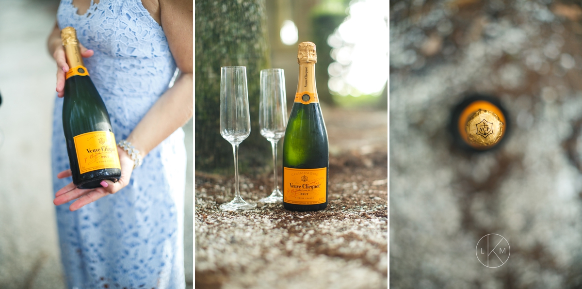 champagne-engagement-session-pictures-orlando-florida-luxury