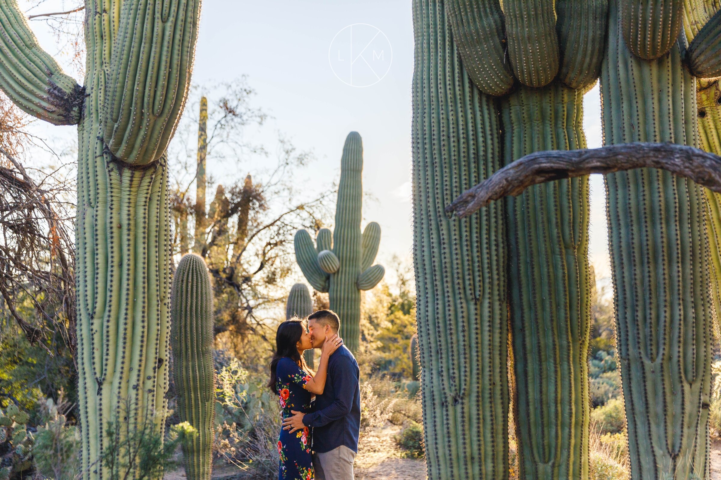 cactus-pictures-engagement-session-locations