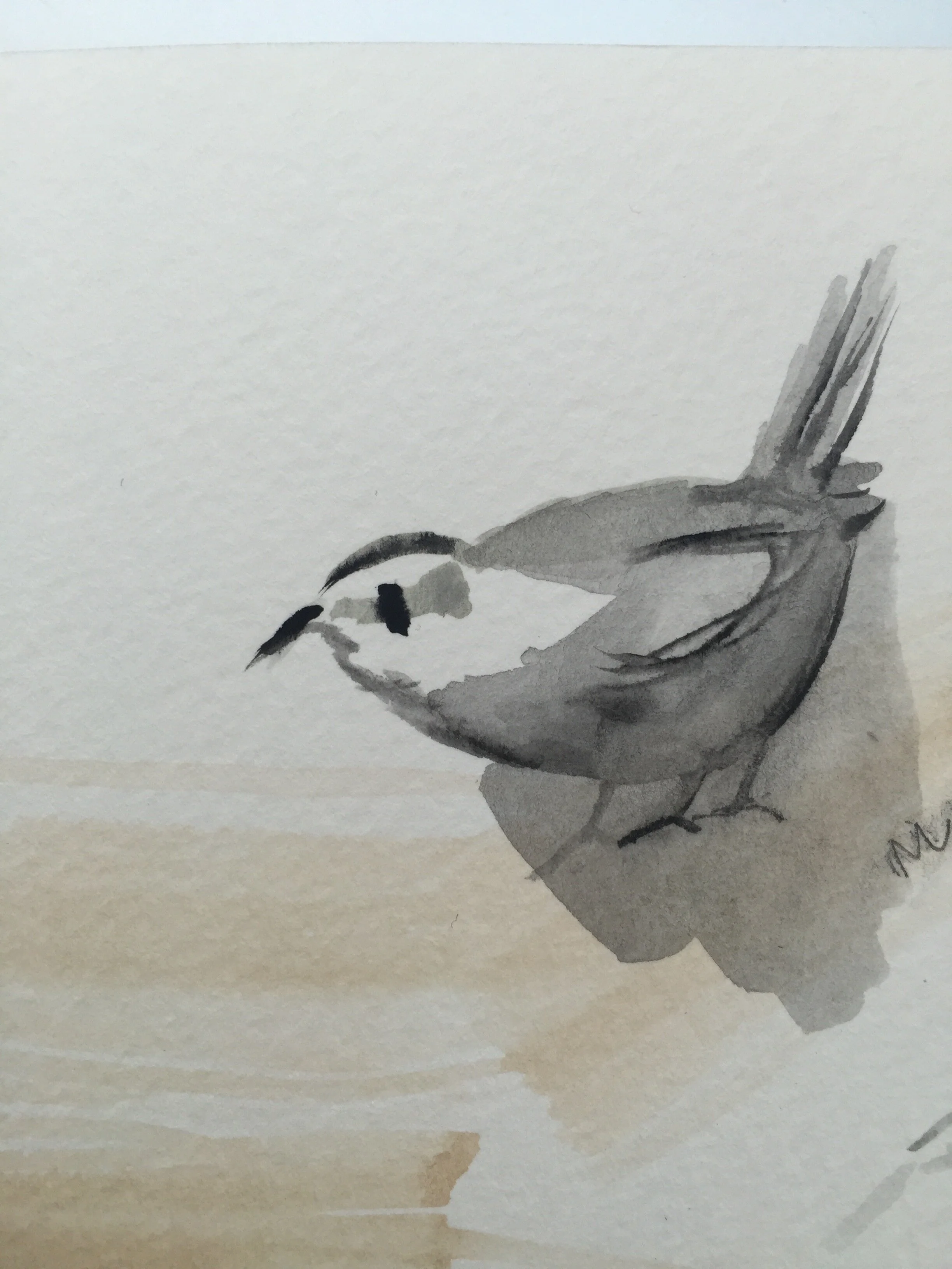 BIRD (WATERCOLOUR)