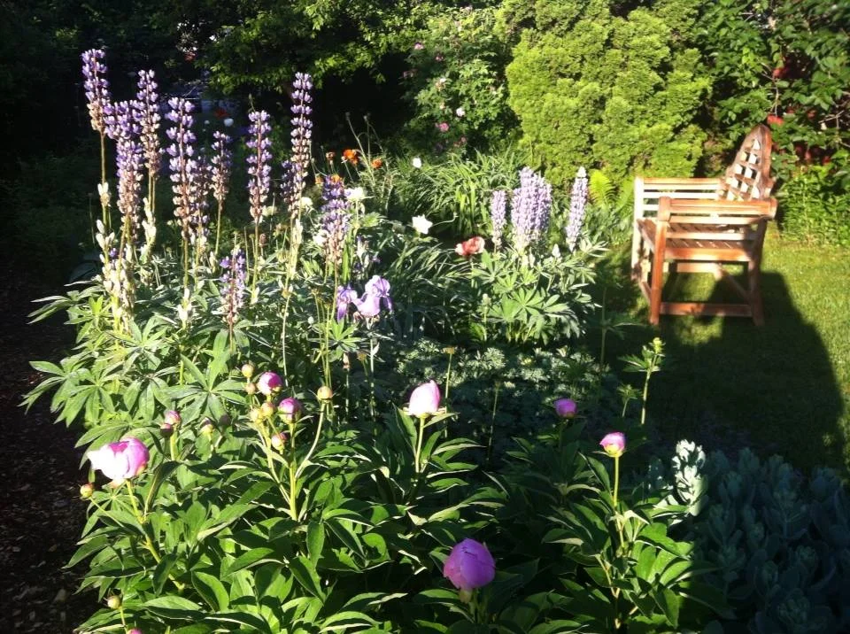 A favorite thinking spot in the garden by the meditation house