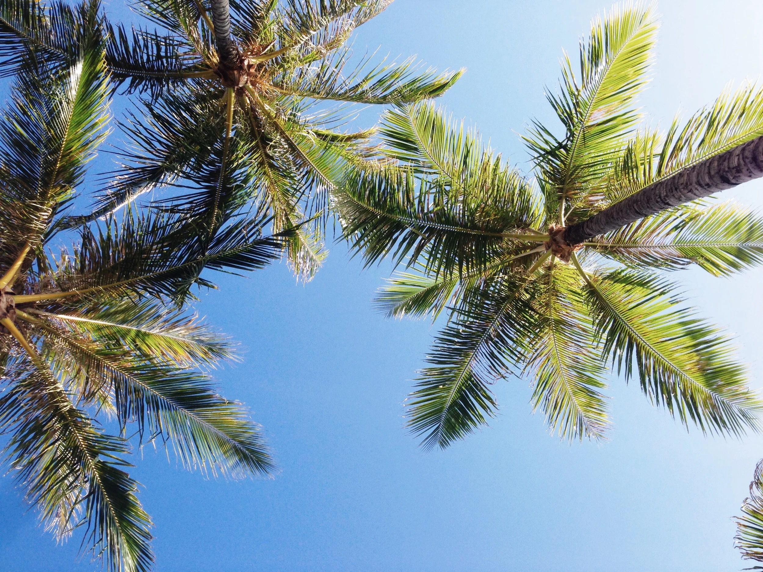  Processed with VSCOcam with s2 preset 