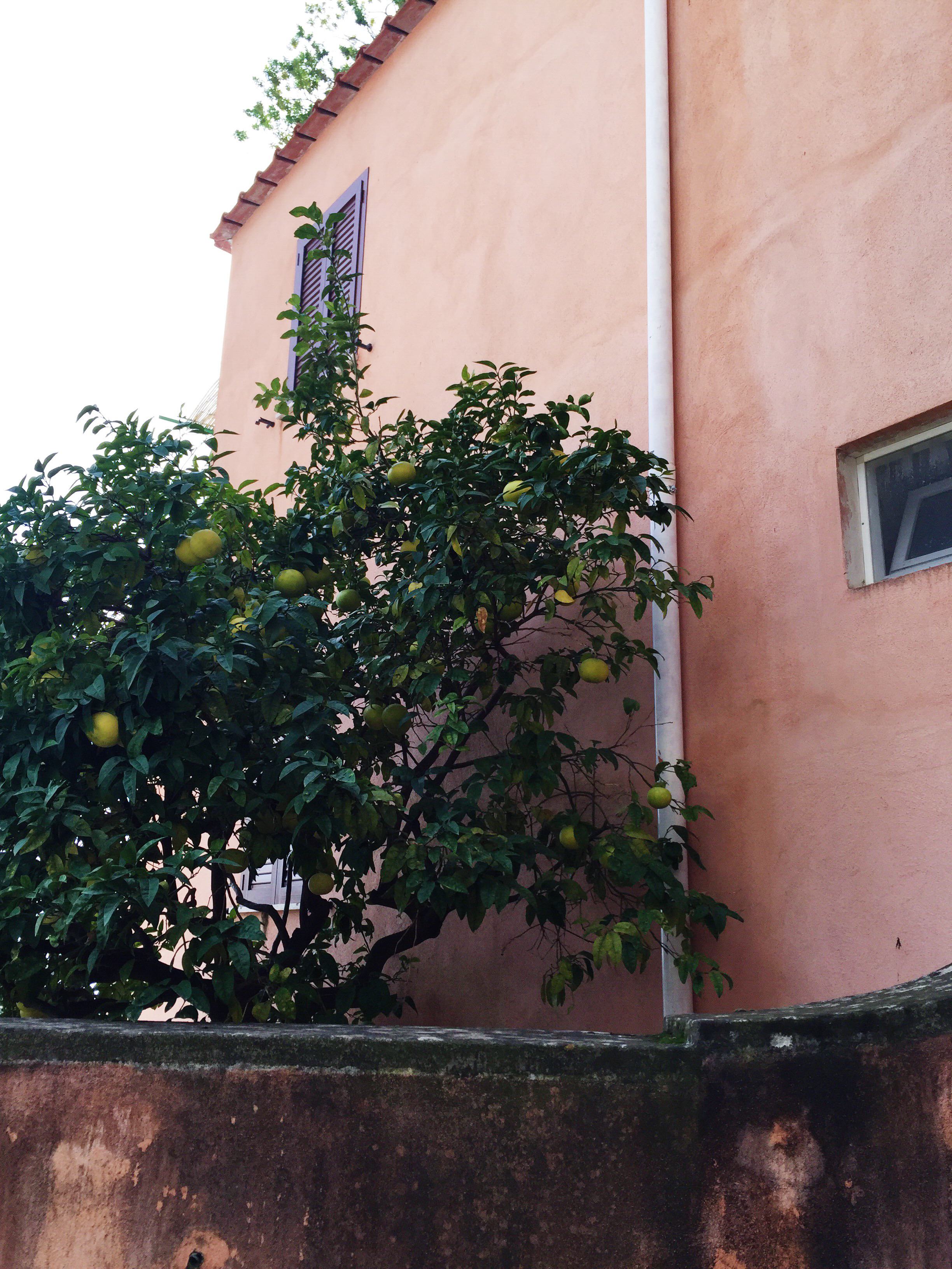 Processed with VSCOcam with s3 preset