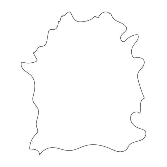 cowhide rug.png