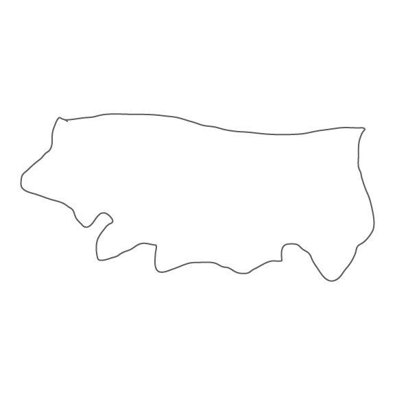 half cowhide.png