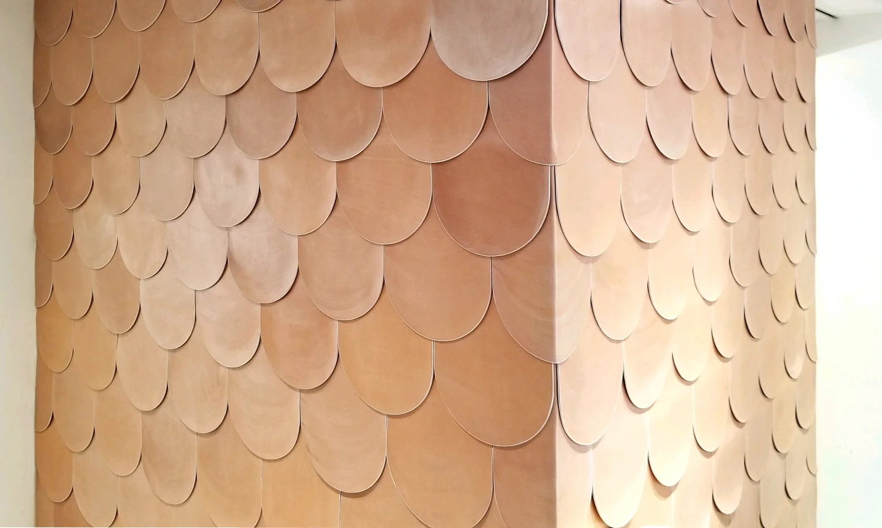 AVO_Scallop Corner.jpg