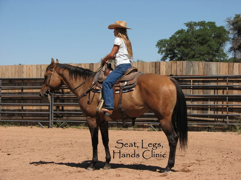 Seat, Legs, Hands Clinic Clinic Fee: $125. Limited to 5 riders and their horse. This is a 1 day clinic. Under saddle work utilizing clear communication of the seat, legs, and hands through transitions. Developing quiet hands and a soft, supple horse. No Stallions Please.