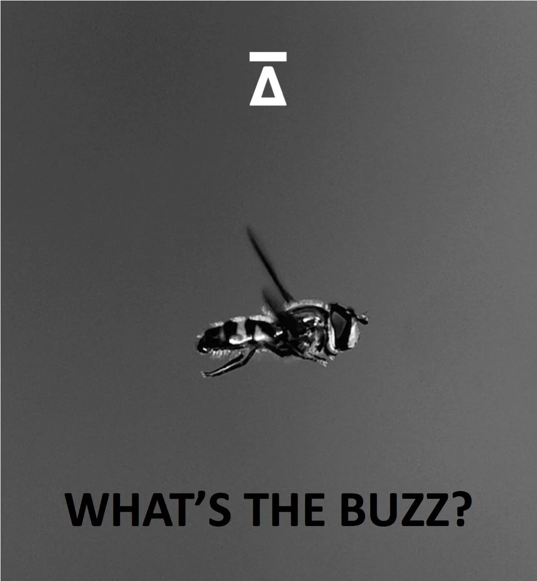 Whats the Buzz copy.jpg