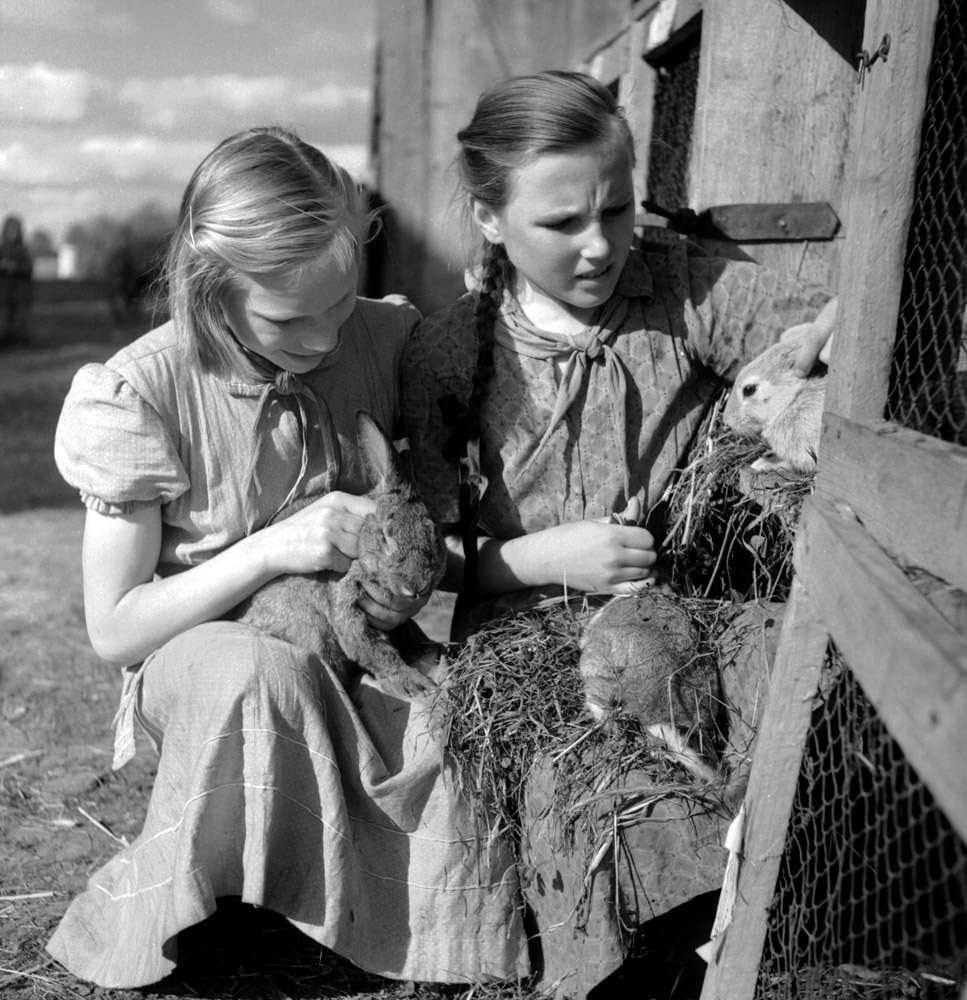 Girls and Rabbits, 1958